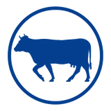 Livestock Sector