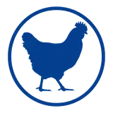 Poultry Sector